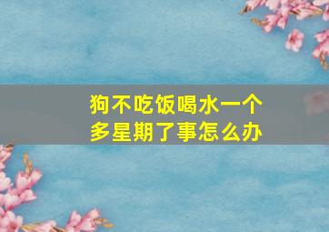 狗不吃饭喝水一个多星期了事怎么办