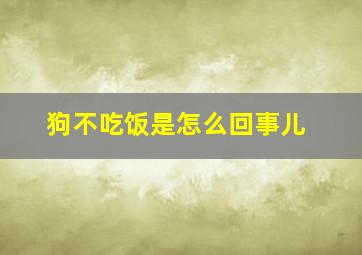 狗不吃饭是怎么回事儿