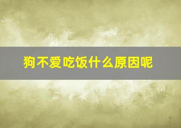 狗不爱吃饭什么原因呢