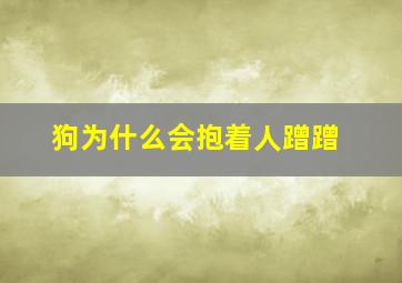 狗为什么会抱着人蹭蹭