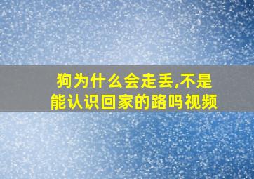 狗为什么会走丢,不是能认识回家的路吗视频