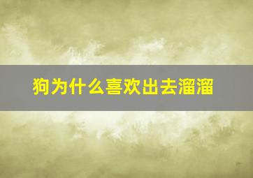 狗为什么喜欢出去溜溜