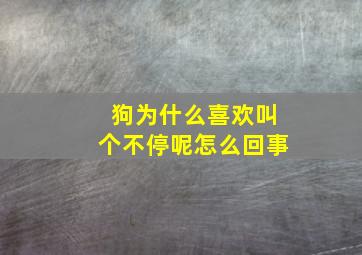 狗为什么喜欢叫个不停呢怎么回事