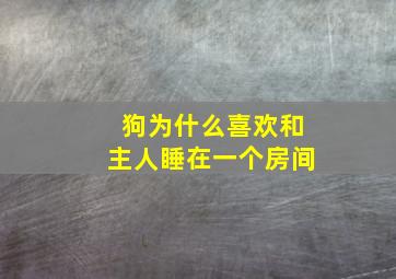 狗为什么喜欢和主人睡在一个房间