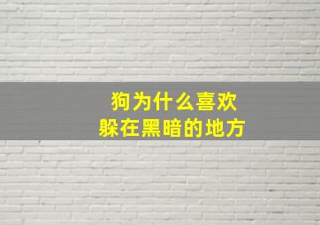 狗为什么喜欢躲在黑暗的地方