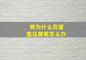 狗为什么在屋里拉屎呢怎么办