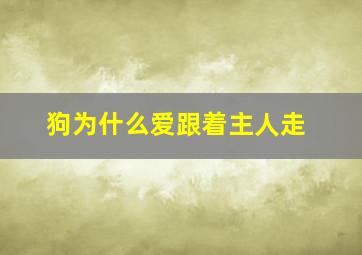 狗为什么爱跟着主人走