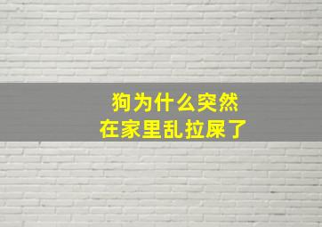 狗为什么突然在家里乱拉屎了