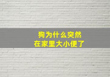 狗为什么突然在家里大小便了