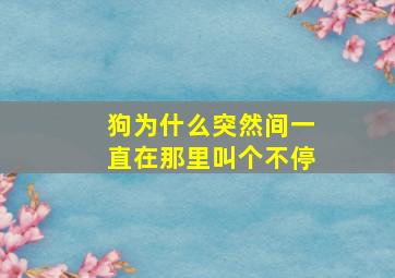 狗为什么突然间一直在那里叫个不停