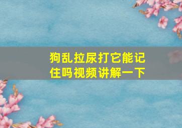 狗乱拉尿打它能记住吗视频讲解一下