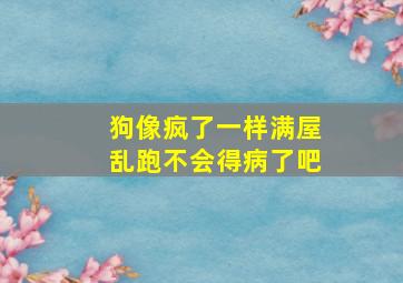 狗像疯了一样满屋乱跑不会得病了吧