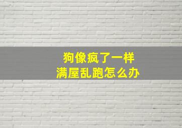 狗像疯了一样满屋乱跑怎么办