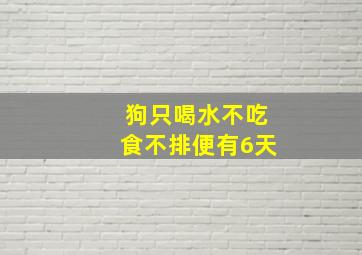 狗只喝水不吃食不排便有6天