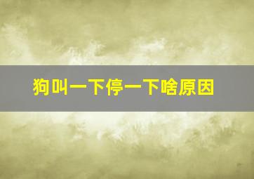 狗叫一下停一下啥原因