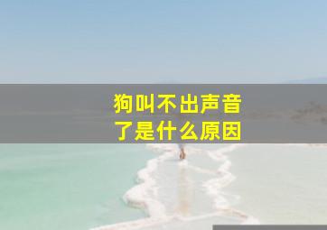 狗叫不出声音了是什么原因