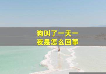 狗叫了一天一夜是怎么回事