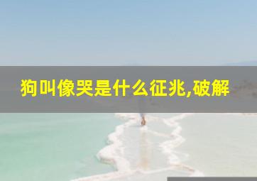 狗叫像哭是什么征兆,破解