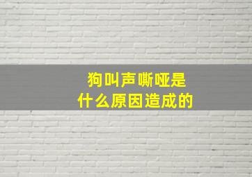 狗叫声嘶哑是什么原因造成的