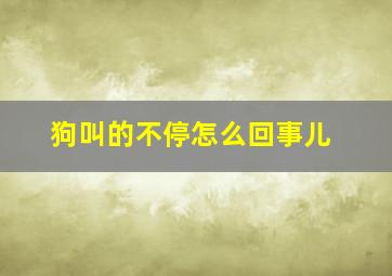 狗叫的不停怎么回事儿