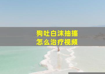 狗吐白沫抽搐怎么治疗视频