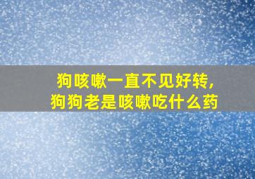 狗咳嗽一直不见好转,狗狗老是咳嗽吃什么药