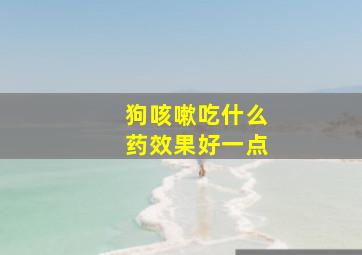 狗咳嗽吃什么药效果好一点