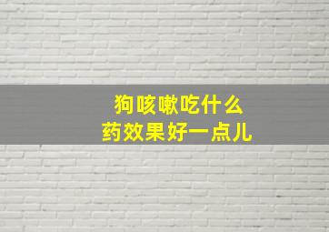 狗咳嗽吃什么药效果好一点儿