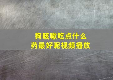 狗咳嗽吃点什么药最好呢视频播放