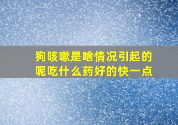 狗咳嗽是啥情况引起的呢吃什么药好的快一点