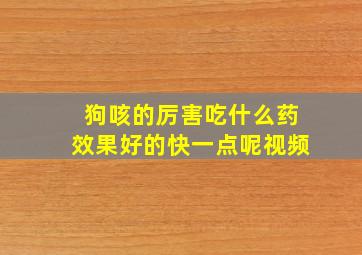 狗咳的厉害吃什么药效果好的快一点呢视频