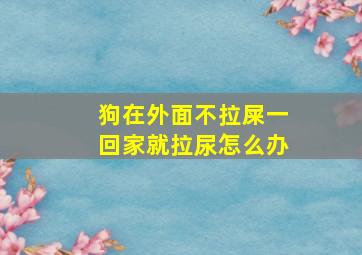 狗在外面不拉屎一回家就拉尿怎么办