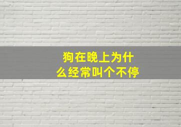 狗在晚上为什么经常叫个不停