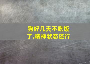 狗好几天不吃饭了,精神状态还行