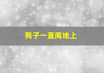 狗子一直闻地上