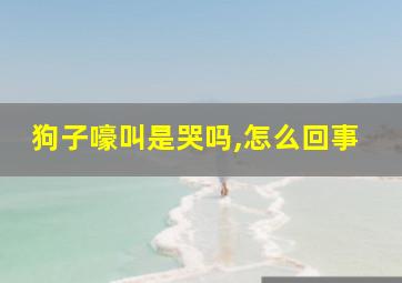 狗子嚎叫是哭吗,怎么回事