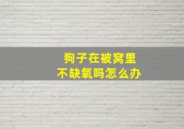 狗子在被窝里不缺氧吗怎么办