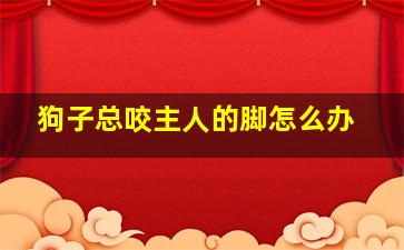 狗子总咬主人的脚怎么办