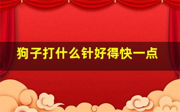 狗子打什么针好得快一点