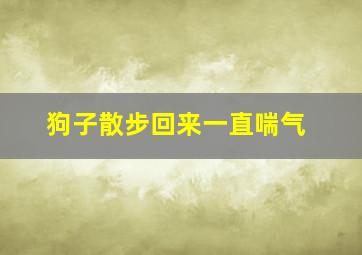 狗子散步回来一直喘气