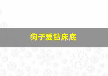 狗子爱钻床底