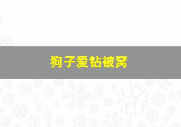 狗子爱钻被窝