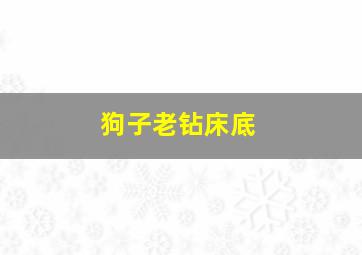 狗子老钻床底