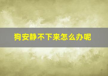 狗安静不下来怎么办呢