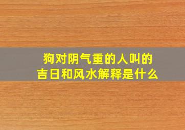 狗对阴气重的人叫的吉日和风水解释是什么