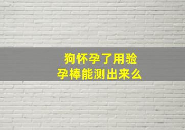 狗怀孕了用验孕棒能测出来么