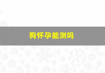 狗怀孕能测吗