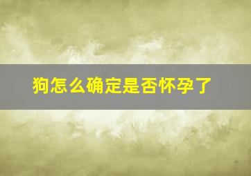 狗怎么确定是否怀孕了