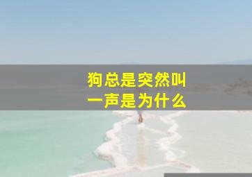 狗总是突然叫一声是为什么