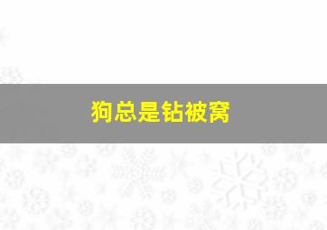 狗总是钻被窝